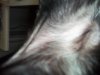 100_0984.jpg