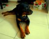 DSCN3829.jpg