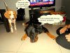 DSCN3781.jpg