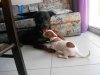DSCN3849.jpg