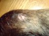 DSC00543.jpg