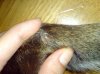 DSC00544.jpg
