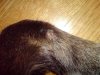 DSC00546.jpg