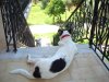 DSC02017.jpg DSC02017.jpg