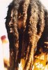 200px-Dreadlocked_rasta.jpg