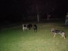DSCN3880.jpg