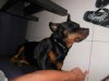 DSCN3888.jpg