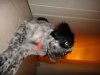 DSC06250.jpg