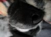 DSC05956.jpg