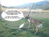 dsc0127gh.jpg
