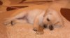 DSC00695.jpg