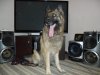 SAM_1202.jpg