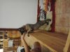 2012-09-19 19.09.23.jpg
