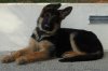 DSC04864.jpg
