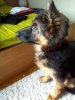 2012-11-26 14.06.26.jpg