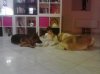 2012-11-07 18.09.39.jpg