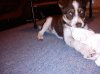 DSC06315.jpg