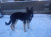 DSC00325.jpg