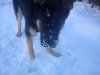DSC00326.jpg