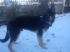 DSC00332.jpg
