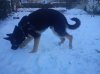 DSC00336.jpg