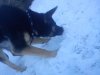 DSC00338.jpg