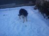 DSC00339.jpg