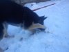 DSC00340.jpg