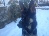 DSC00348.jpg
