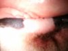 DSC_0341.jpg