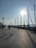 P1010733.jpg