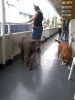 2012-05-21 08.08.13.jpg