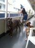 2012-05-21 08.07.05.jpg