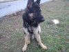 DSC00354.jpg