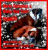 Wishes 2013.jpg