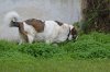 DSC_0045.jpg
