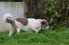 DSC_0046.jpg