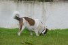 DSC_0051.jpg