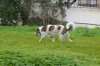 DSC_0054.jpg
