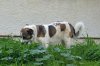 DSC_0166.jpg