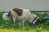 DSC_0172.jpg
