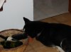 DSC00200.jpg