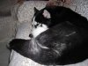 DSCN0270.jpg