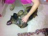 IMG_0516.jpg IMG_0516.jpg