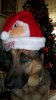 100_0327.jpg