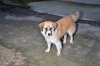 DSC_2546.jpg DSC_2546.jpg