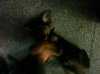 IMG_1483.jpg IMG_1483.jpg