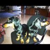 mickey & oddie chair.jpg mickey & oddie chair.jpg