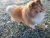 DSC00716.jpg