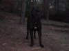 DSCF1807.jpg